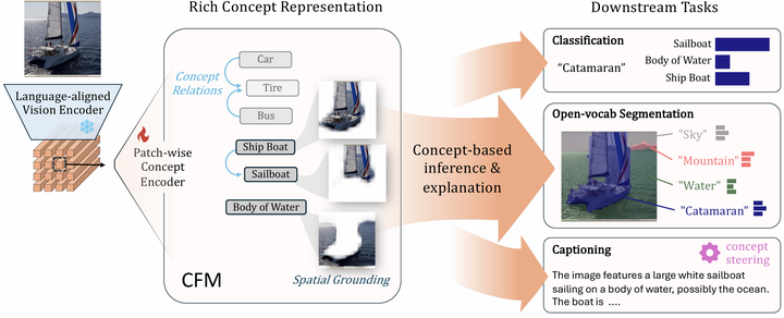 CFM: Language-aligned Concept Foundation Model for Vision